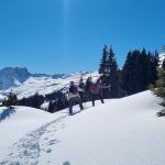 Schneeschuhwandern mit Pink Alpine Gay Männerreisen